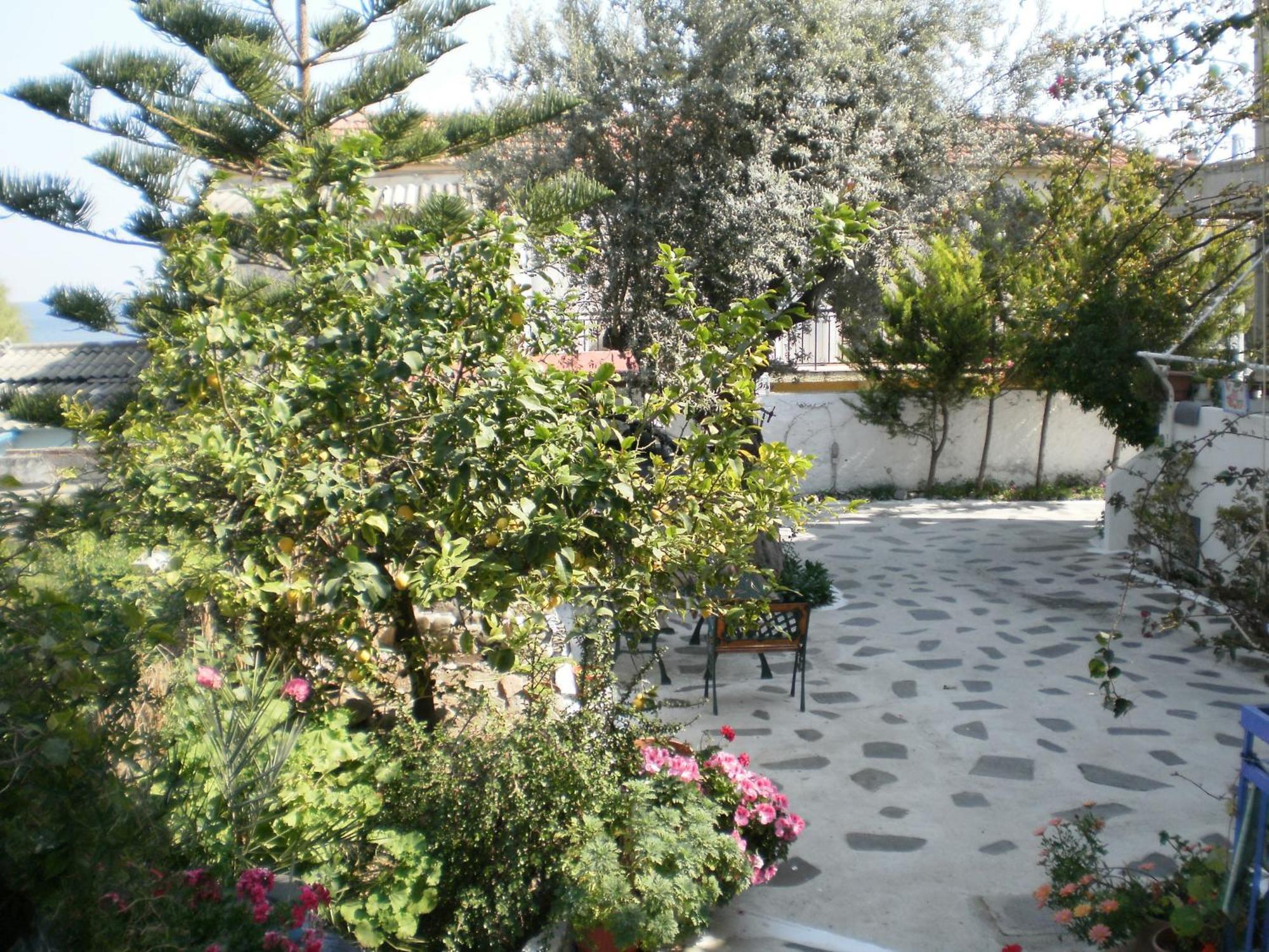 Sunrise Flora Apartment Agia Marina  Ngoại thất bức ảnh